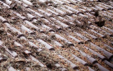 Barby roof cleaning companies